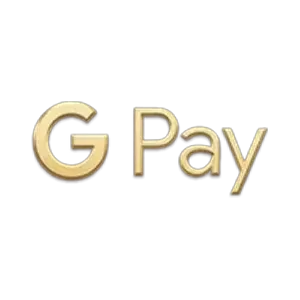 Google Pay logo.